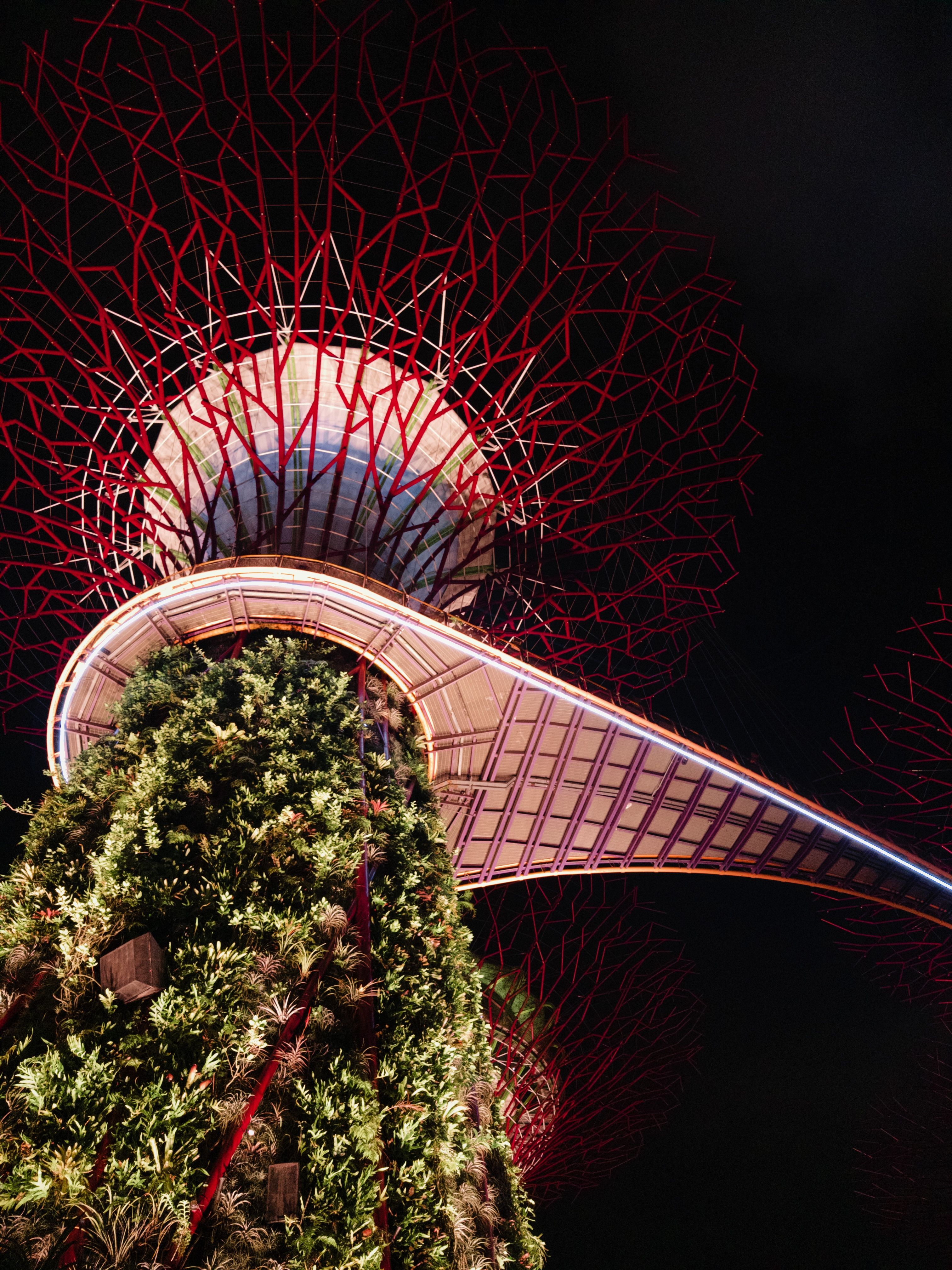 May 29, 2026 — Gardens by the Bay supertree